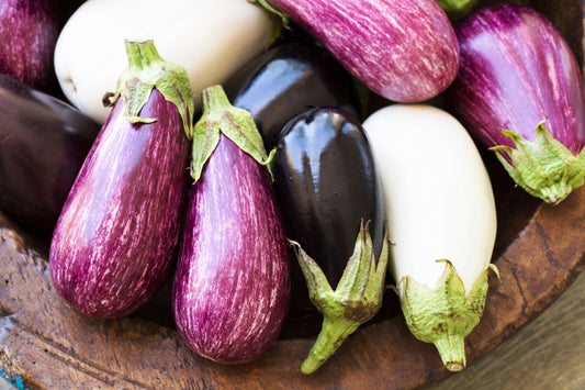 Produce Profile: Eggplant