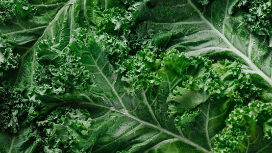 New Produce Availability
